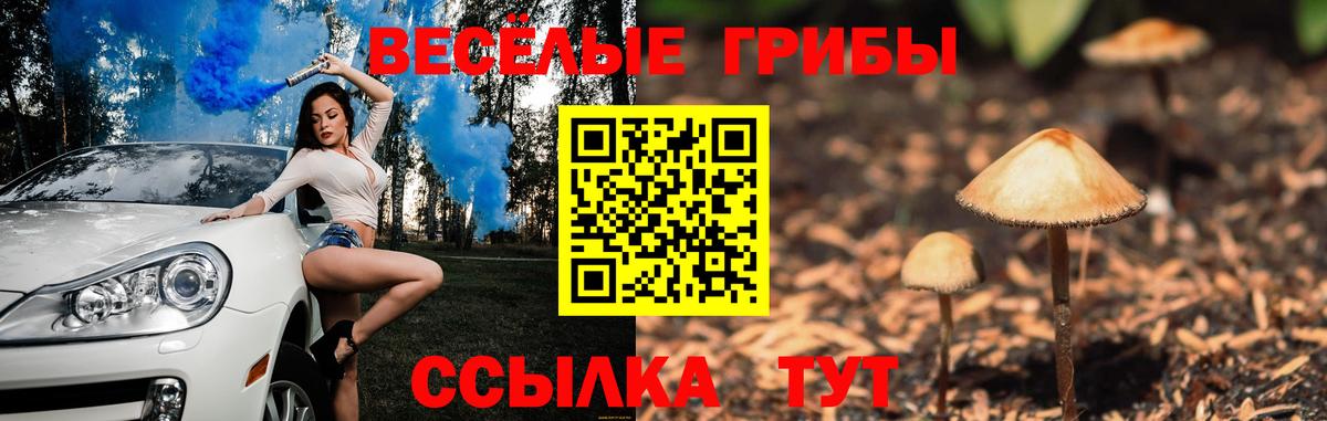 Беслан  Псилоцибиновые грибы Psilocybine cubensis  магазин продажи наркотиков  Вход с VPN 